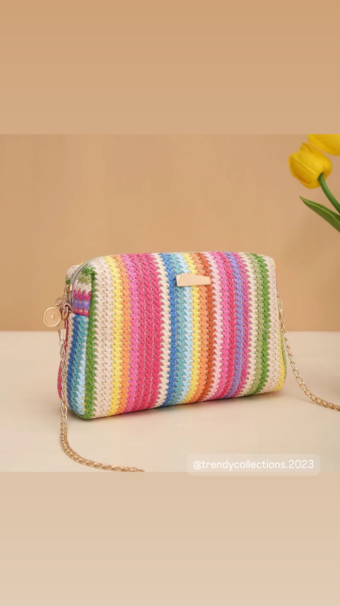 Rainbow bag