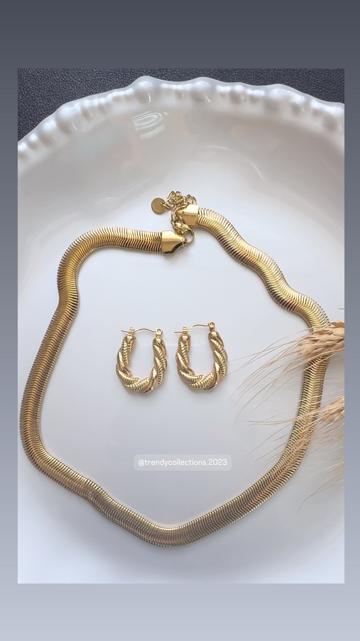 Chunky Snake