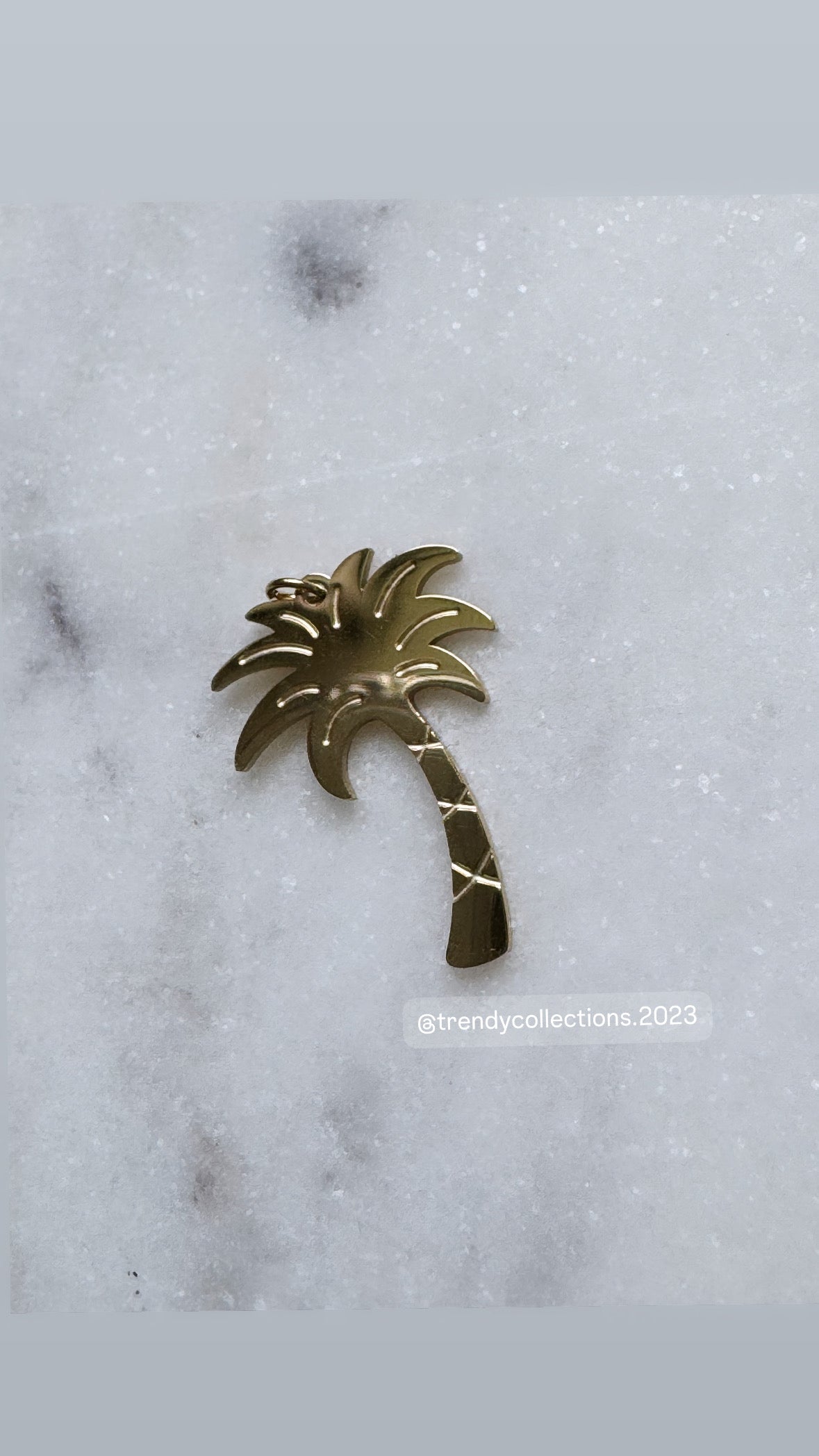 Palmita Charm