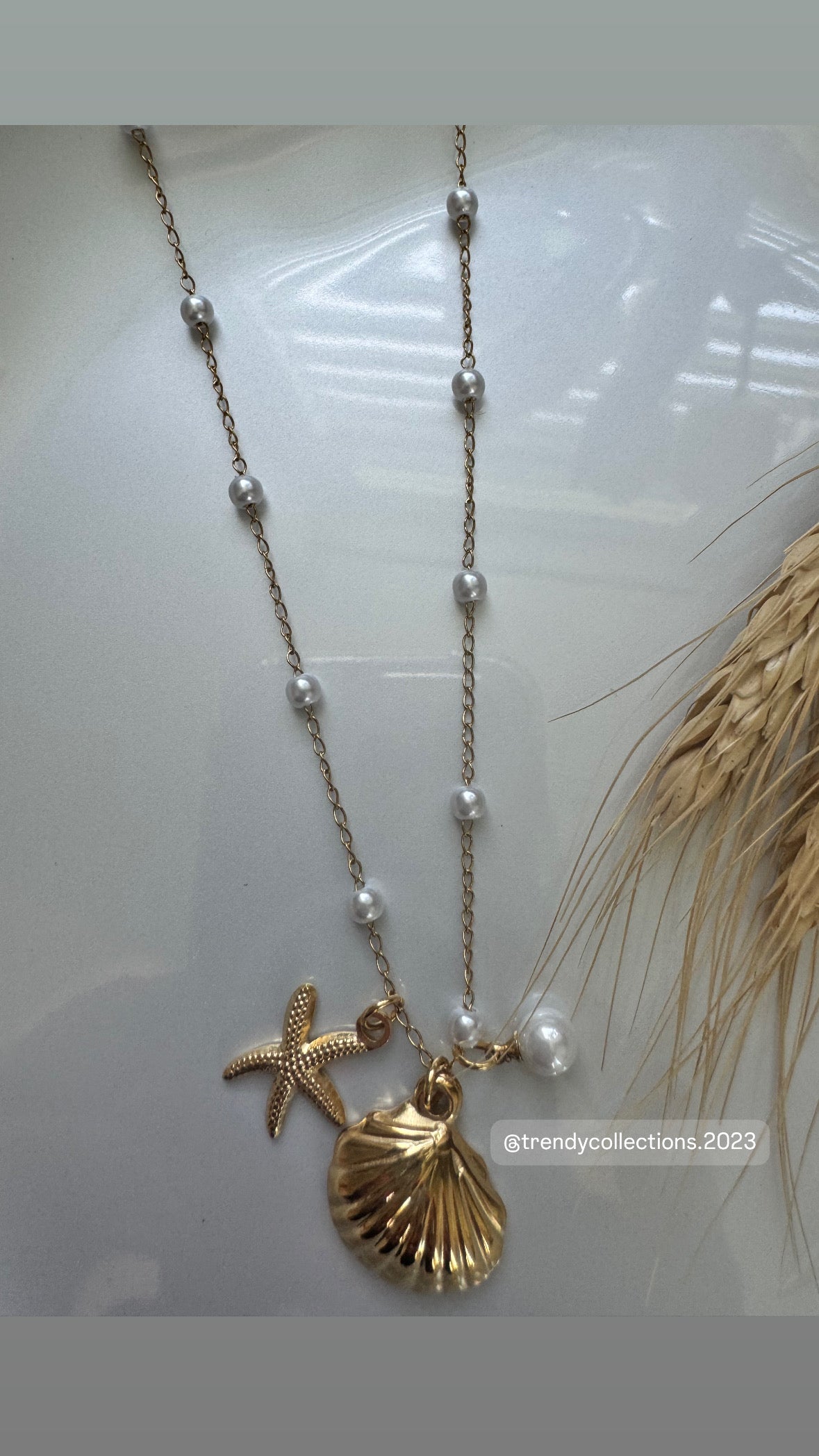Sea Shell Necklace