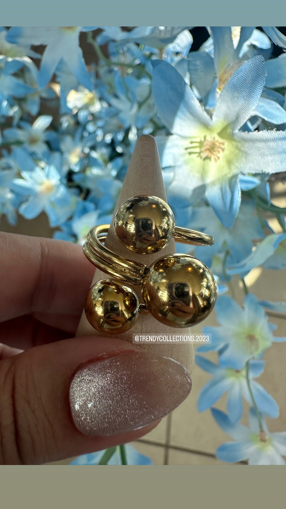 Anillo Victoria
