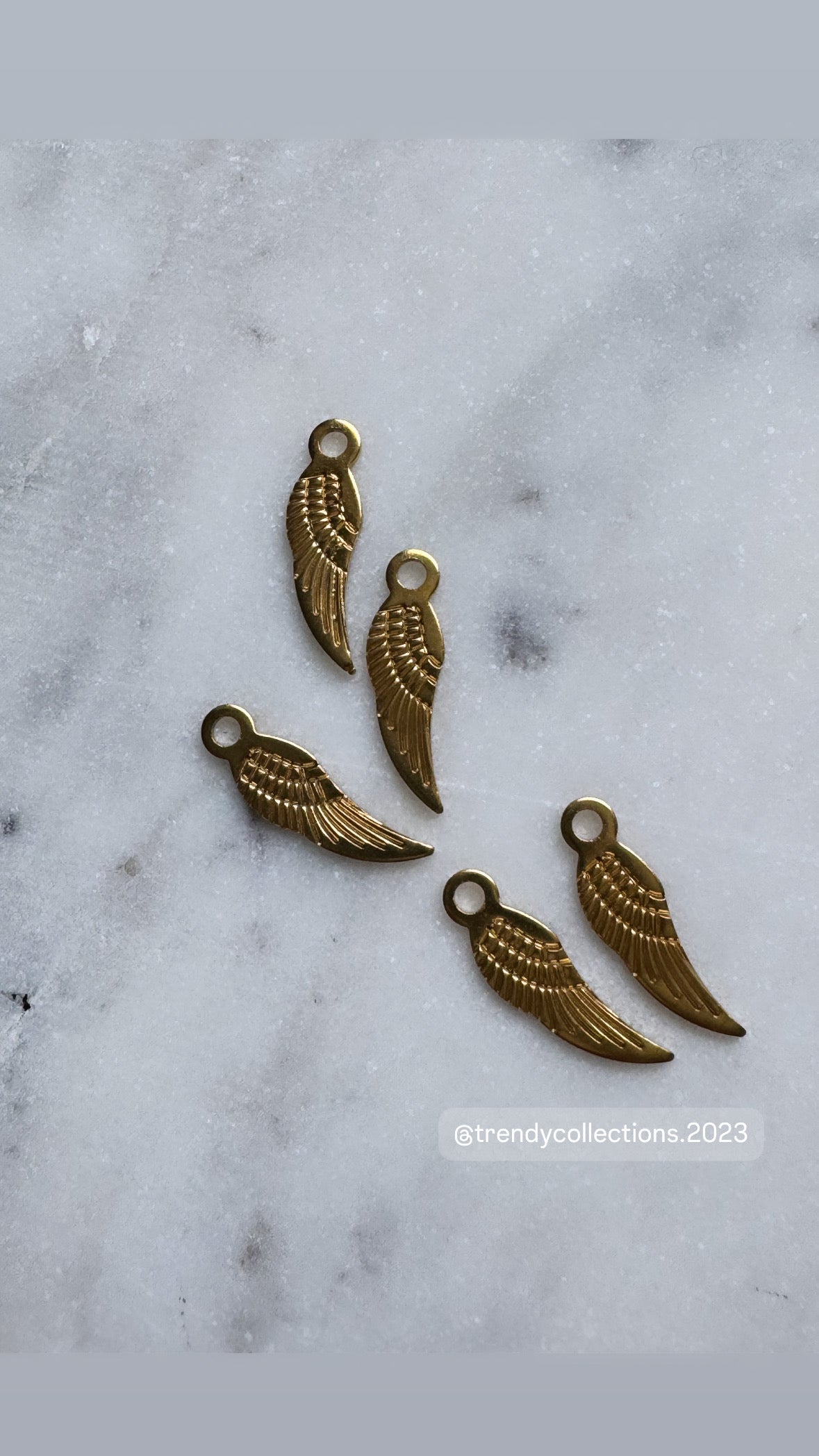 Wings Charm