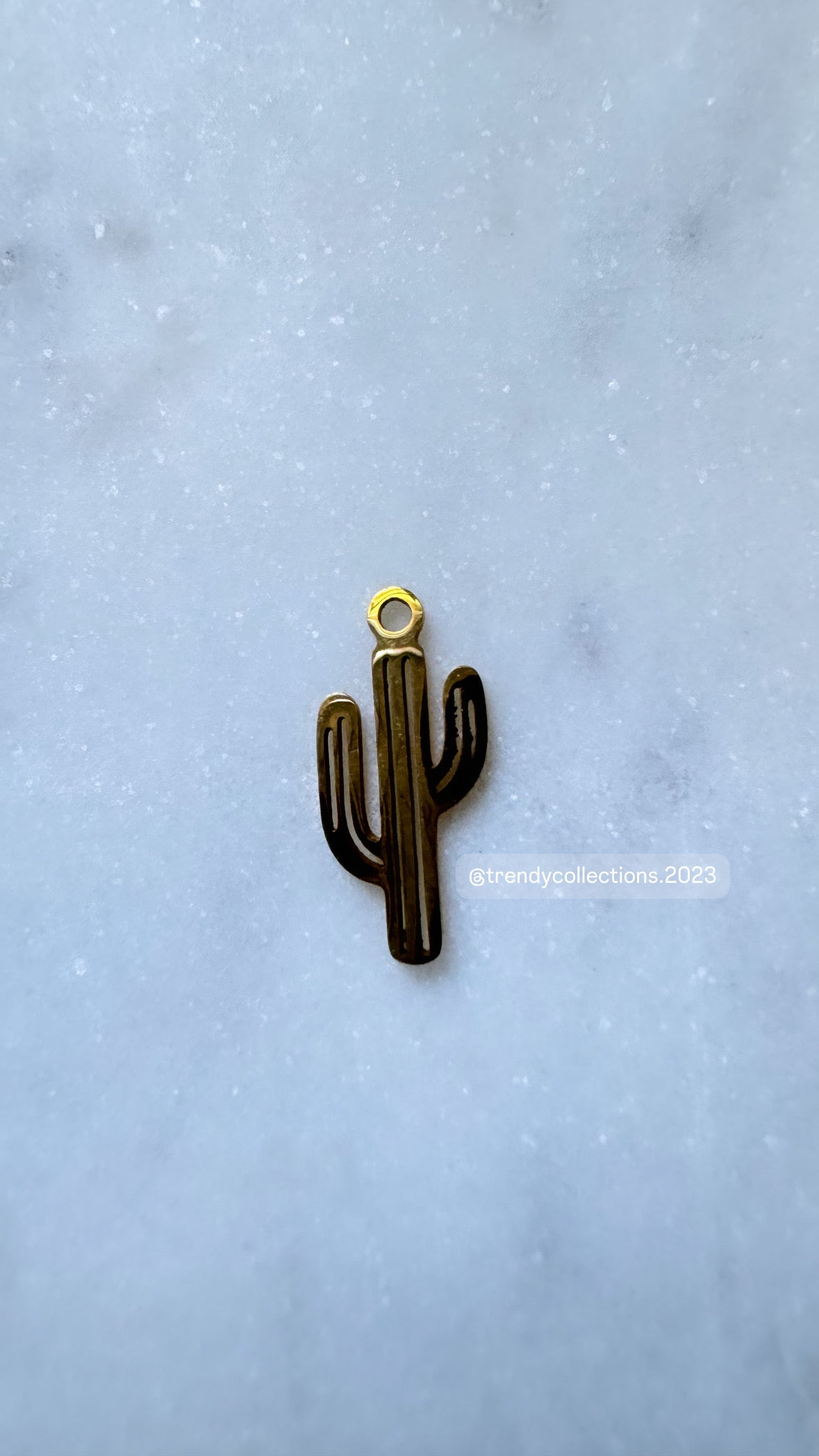 Cactus