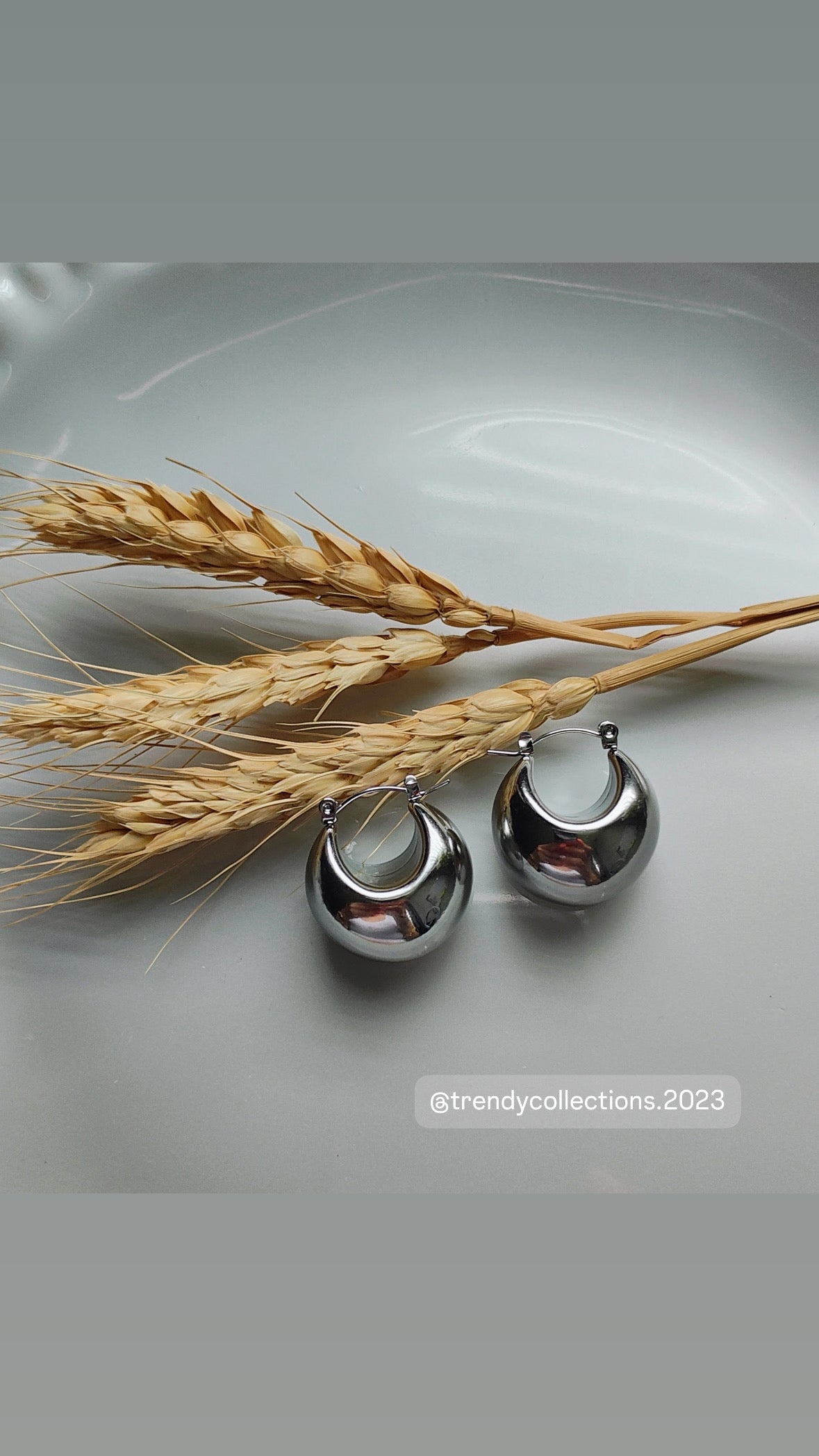 Igneri Earrings