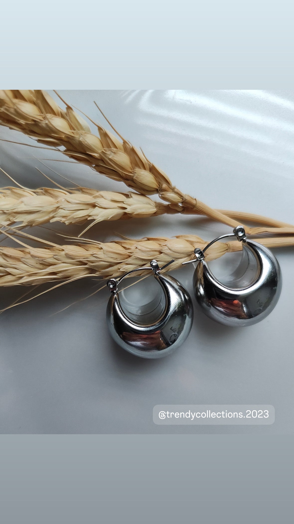 Igneri Earrings