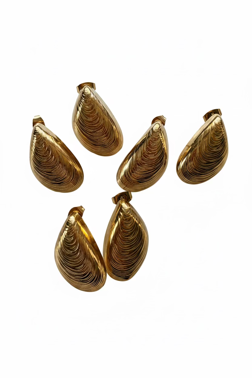 Shell Drop Earrings – Gold Stainless Steel Shell Earrings 316L