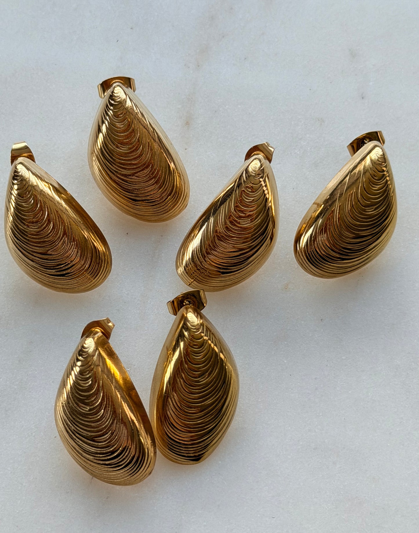 Shell Drop Earrings – Gold Stainless Steel Shell Earrings 316L