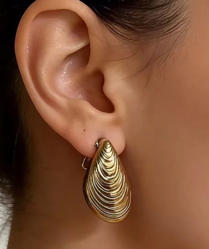 Shell Drop Earrings – Gold Stainless Steel Shell Earrings 316L